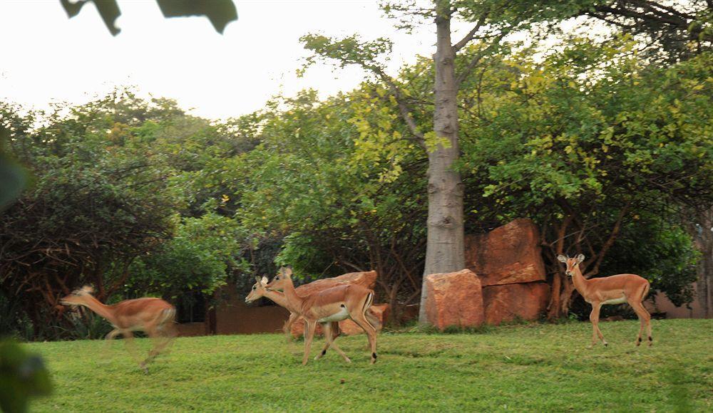 M'Kango Golfview Hotel Lusaka Esterno foto